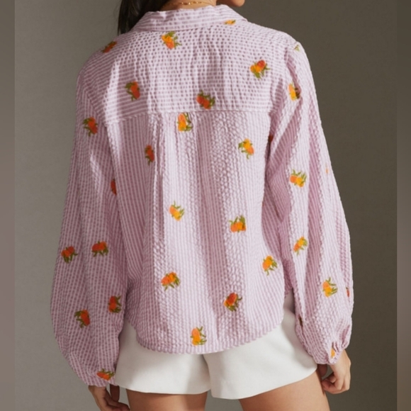 Anthropologie Maeve Embroidered Button down Shirt In Assorted Fruit Striped LG - Picture 13 of 15